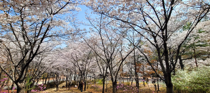 계명대학교 성서캠퍼스
