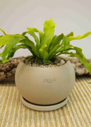 고급화분