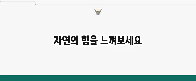 맨발 걷기 효능과 부작용: 어싱(Earthing) 효과 제대로 알기