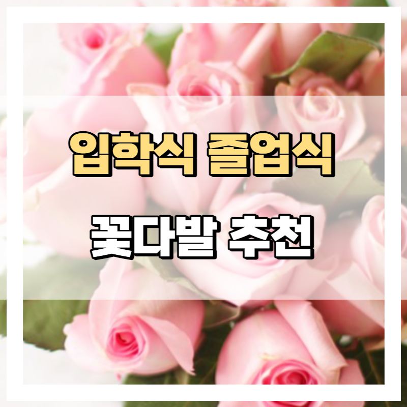 입학식 졸업식 꽃 추천