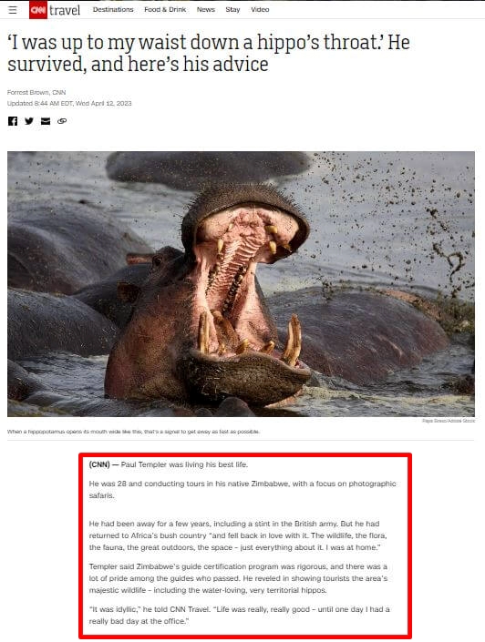 CNN-HIPPO
