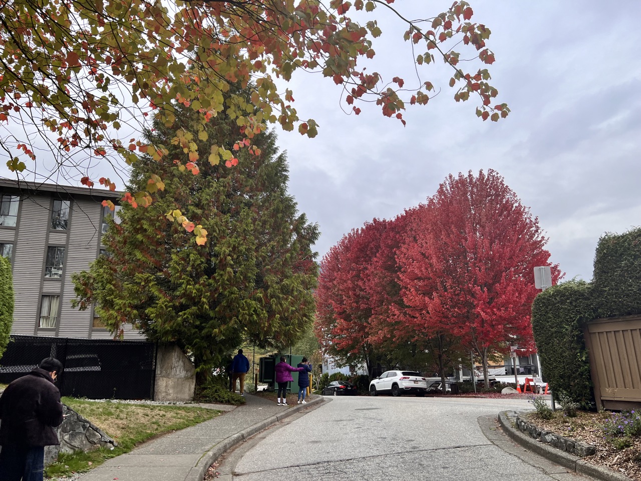 드디어 도착한 Deep Cove 버스정류장에서 한 컷