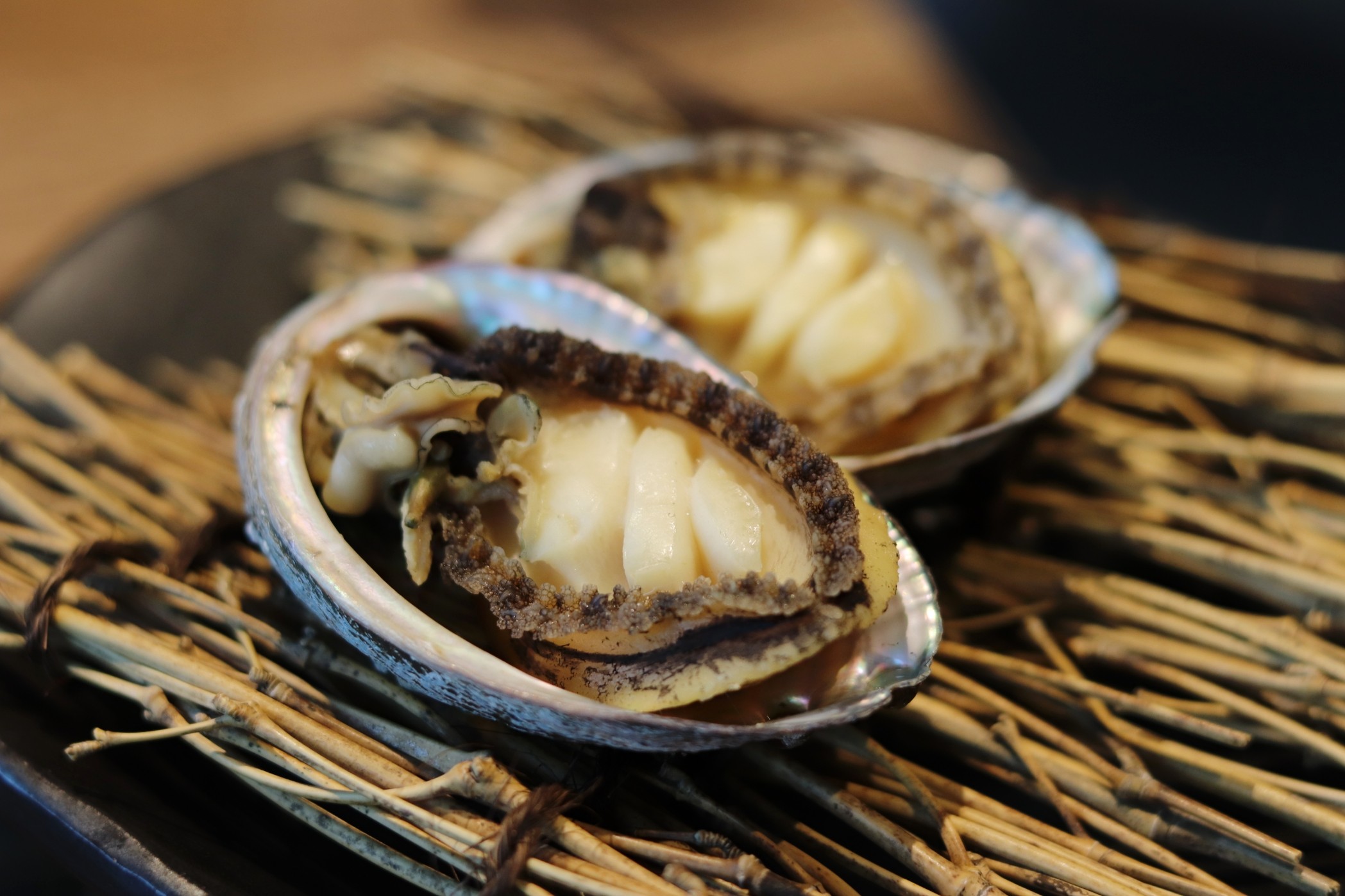 참치코스 요리 전문점 :: 꽃비