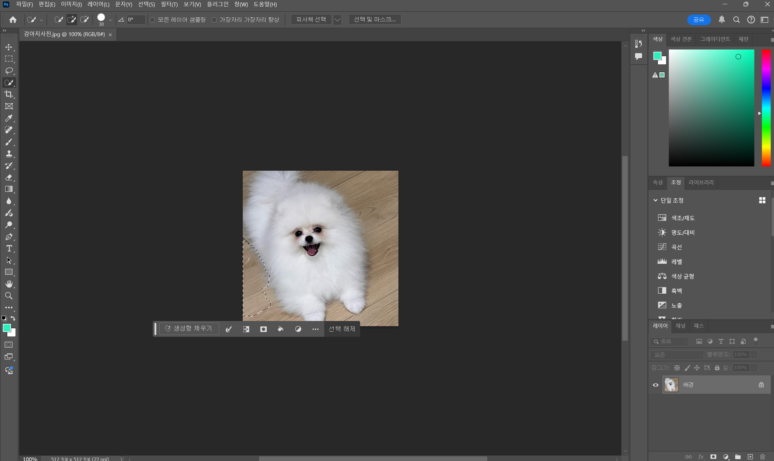 피사체 전체를 선택