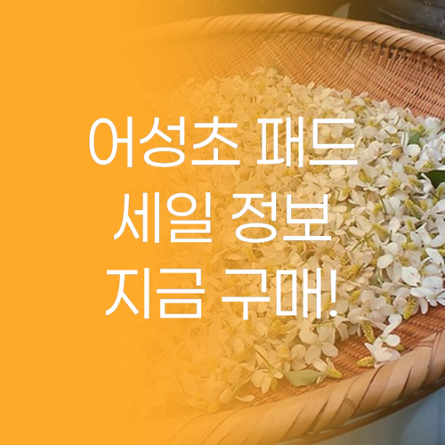 인기 어성초 패드 할인 정보! 지금이