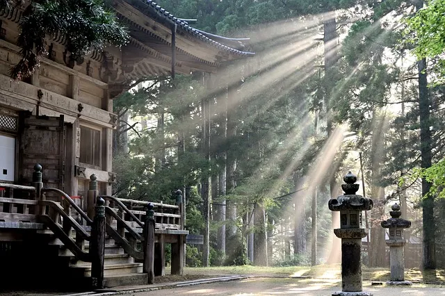 일본식 덮밥 레시피_2