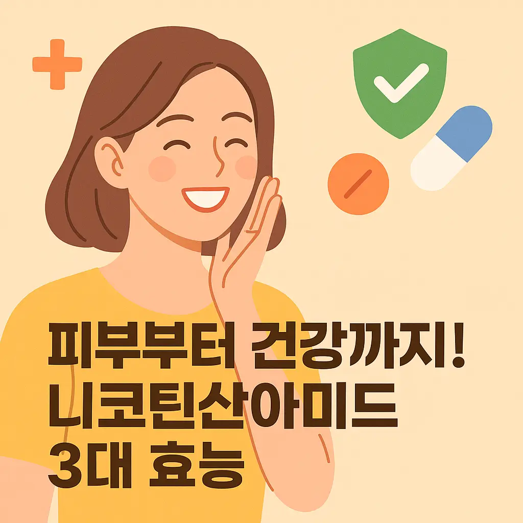 니코틴산 아미드 효능