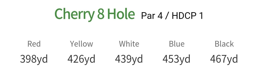 솔모로 컨트리클럽 체리코스 8