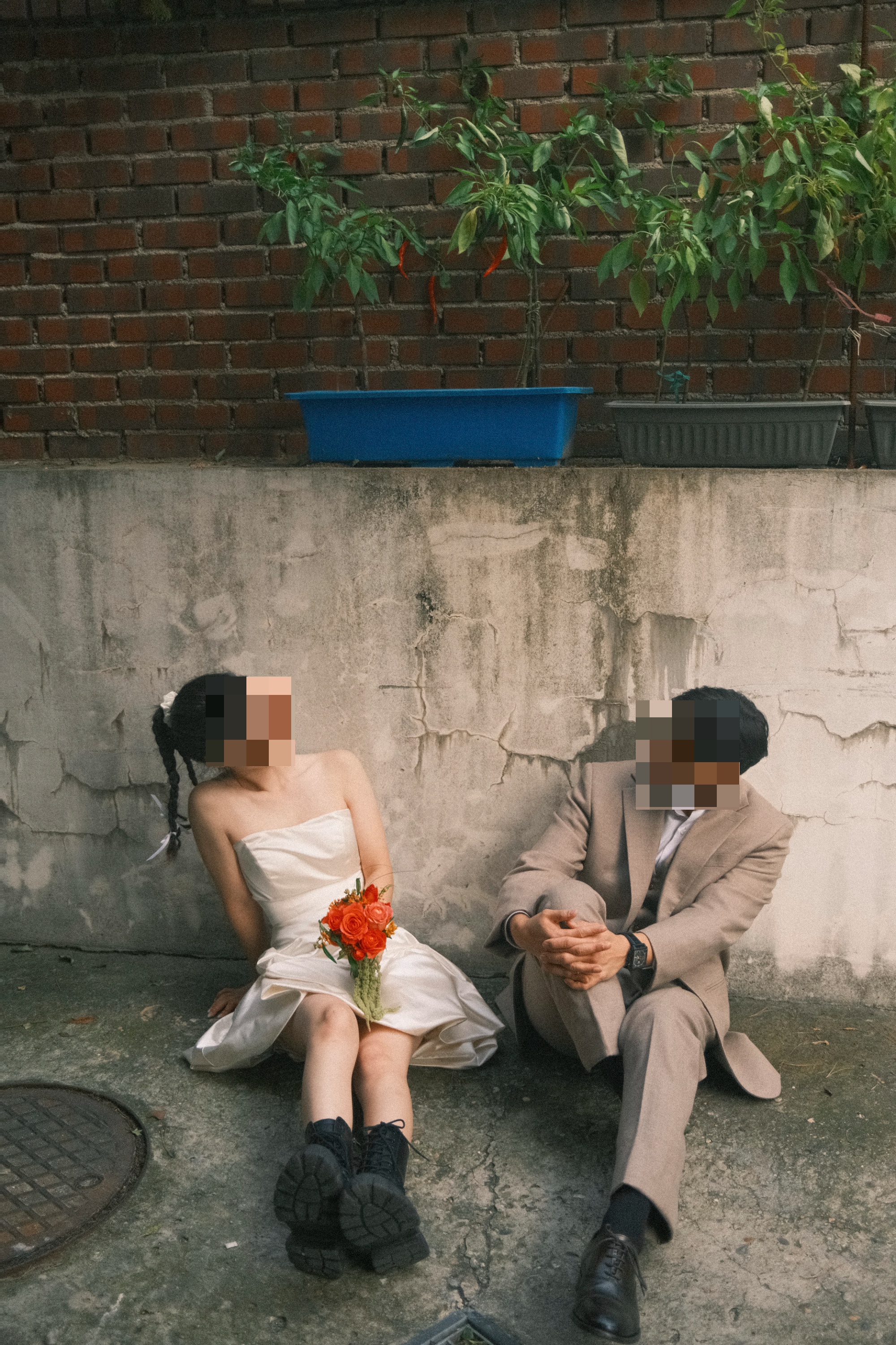 청담 이본느 드레스 대여 야외스냅 드레스 가성비 대여 후기