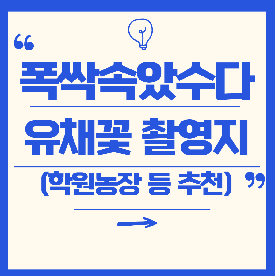 폭싹속았수다 유채꽃 촬영지 학원농장 예약하기