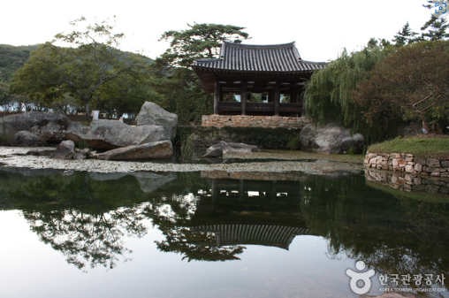 윤선도 원림 