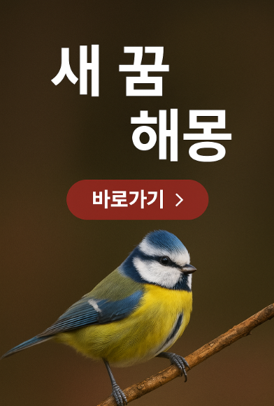 새 꿈