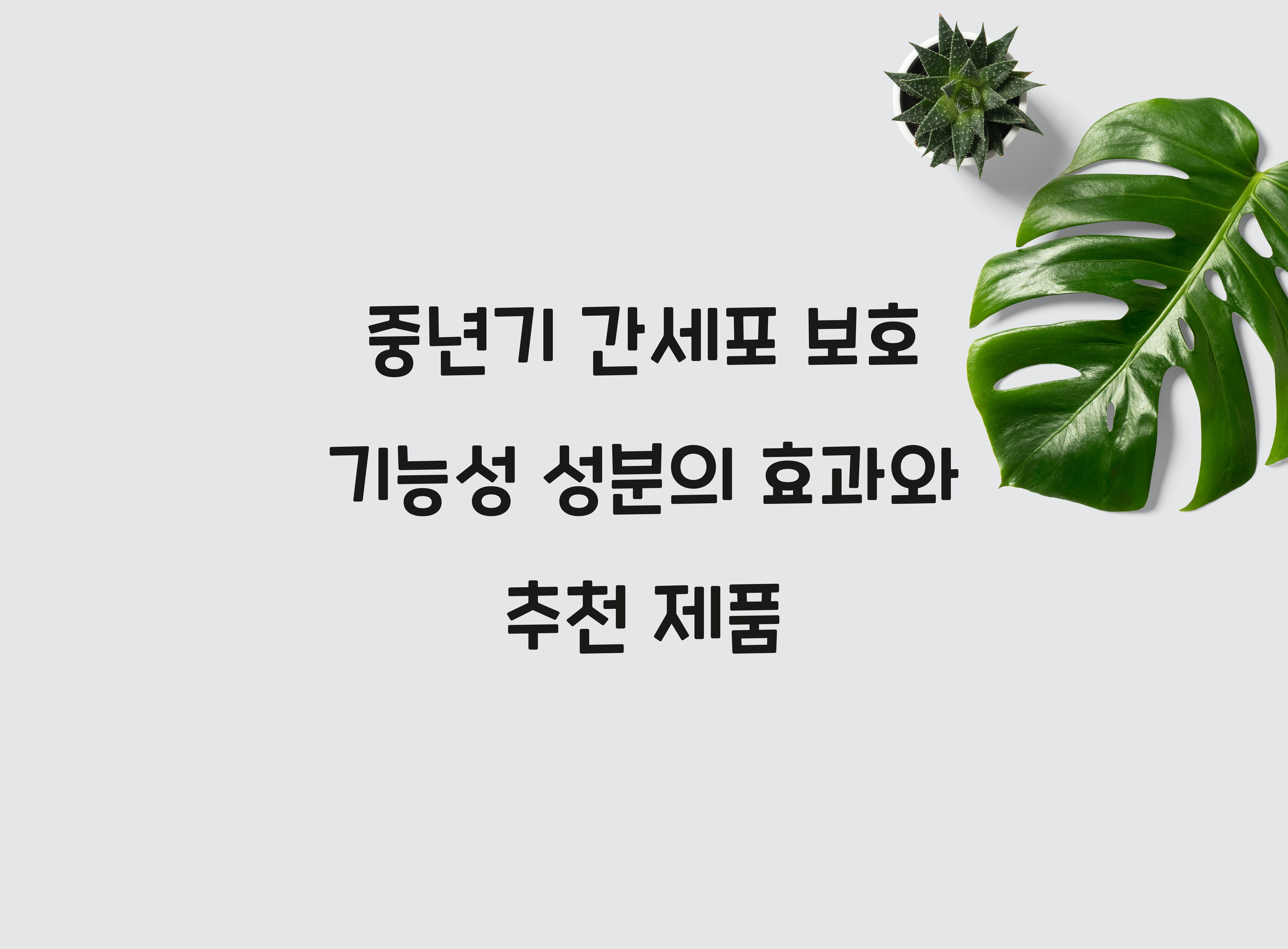 중년기 간세포 보호 기능성 성분