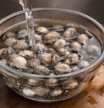 꼬막 해감 쉽게 하는 법