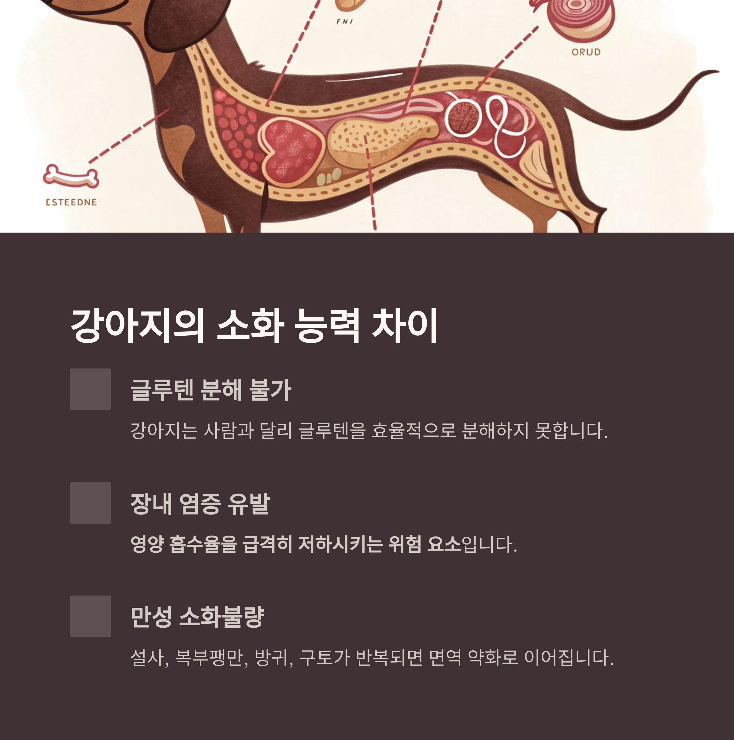 강아지의 소화 능력 차이