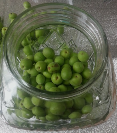 매실장아찌만들기