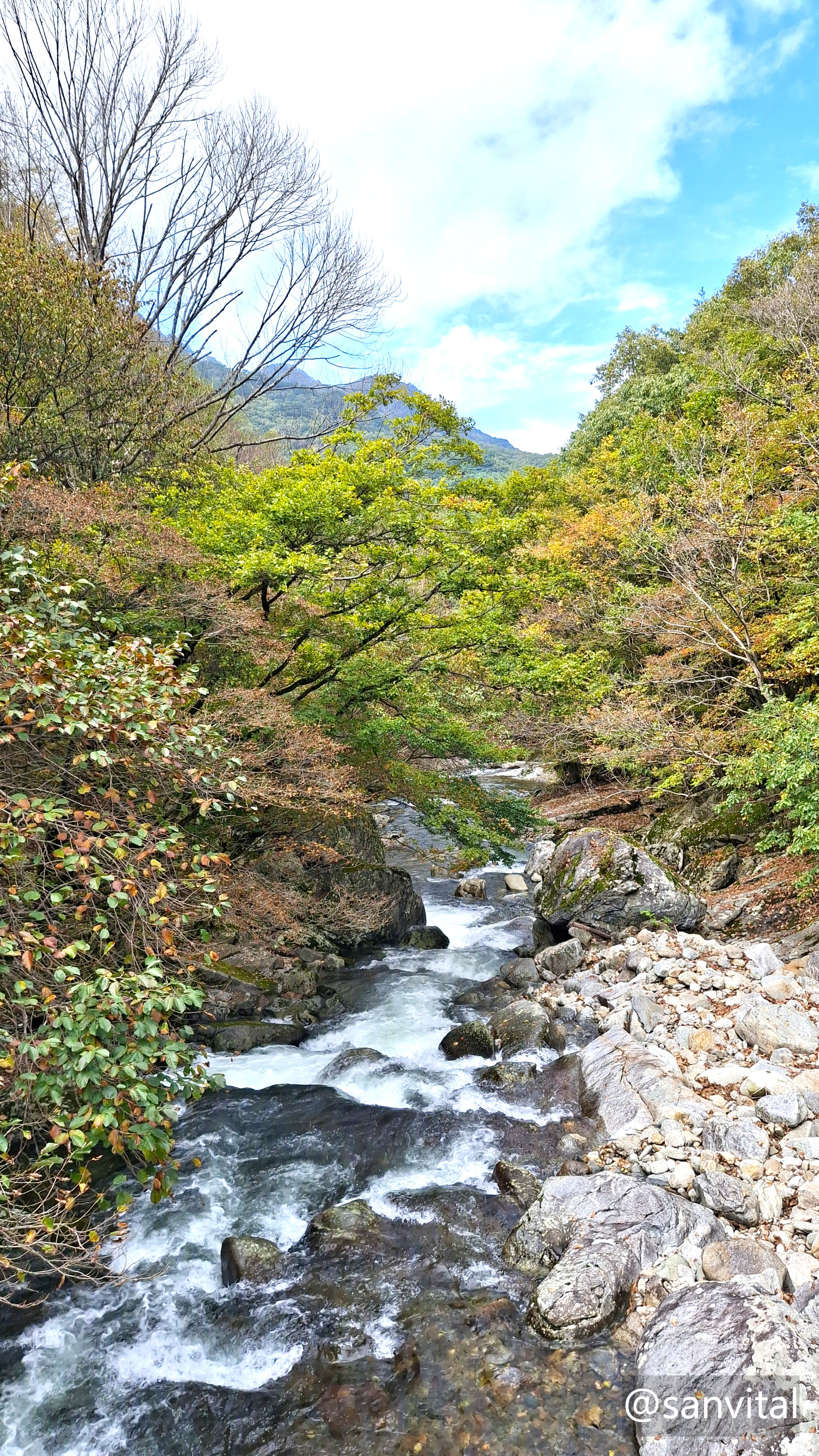 무주 구천동계곡 비파담