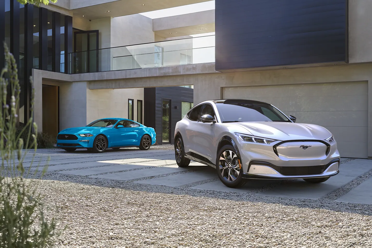 머스탱 마하 E과 머스탱