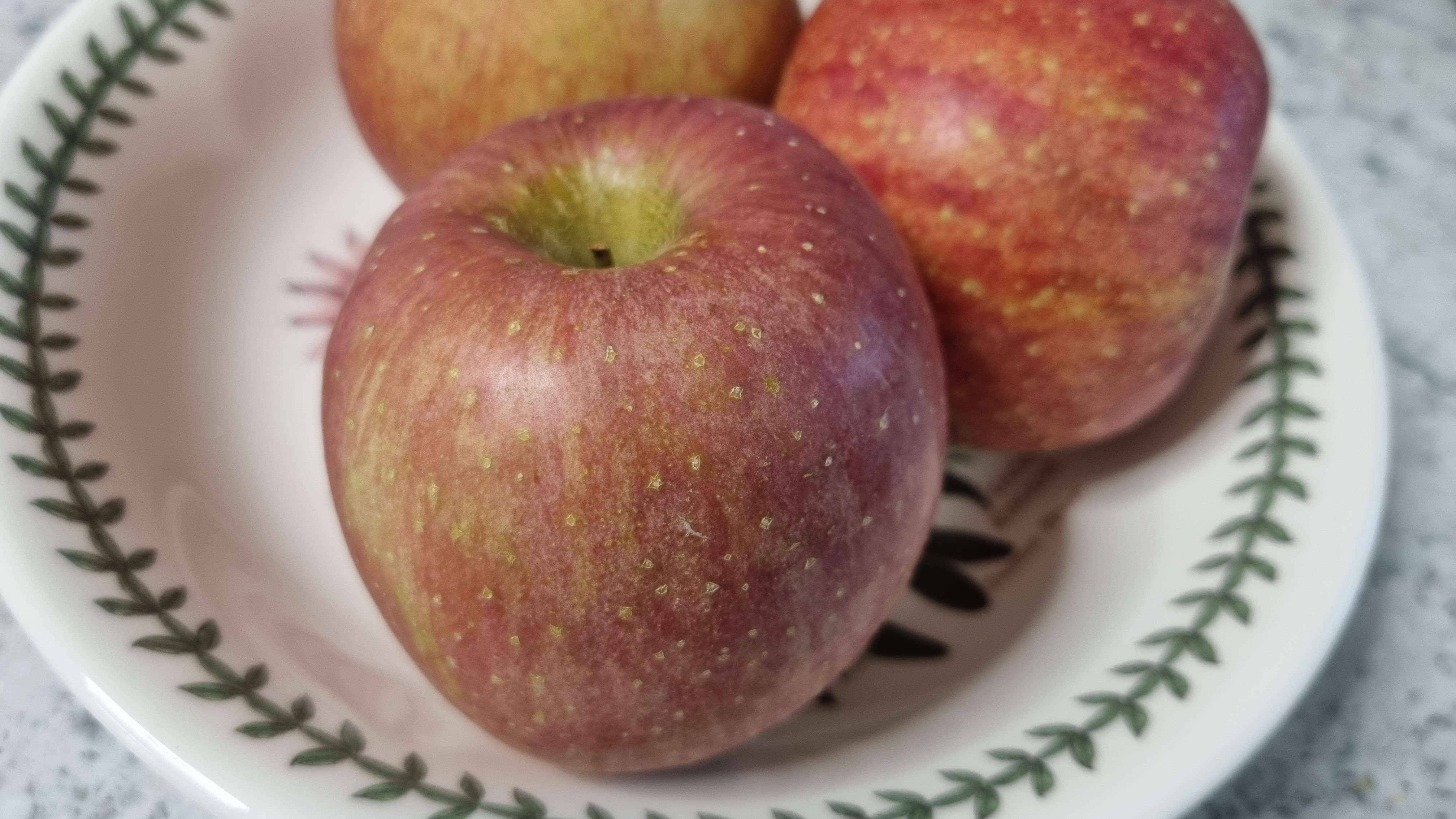 사과 보관 방법