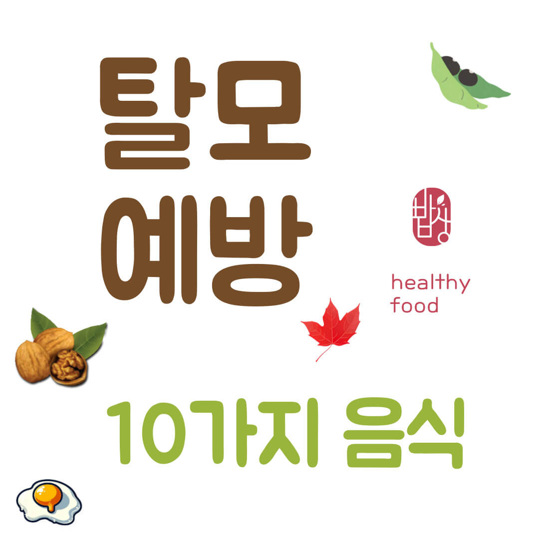 탈모예방에 좋은 음식10가지