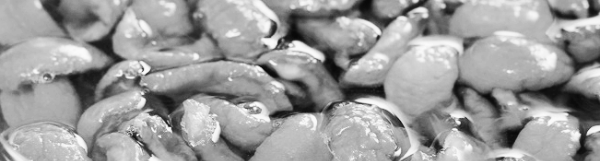 오이소박이 황금레시피 외: 매실장아찌 무침 만드는법