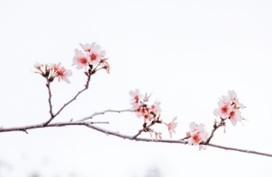 수성못 벚꽃길 산책 후 필수 코스! 조용하고 감성 가득한 핸드드립 커피 맛집 추천