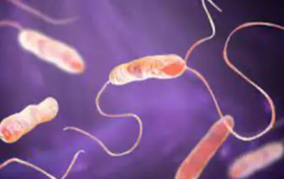 폐렴구균-예방접종-무료-대상-병원-찾기-순서-건강