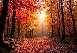 2025년 아파트 샷시 교체비용&amp;#44; 정부 지원