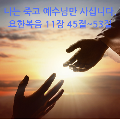 나는 죽고 예수님만 사십니다. 요한복음 11장 45절~53절