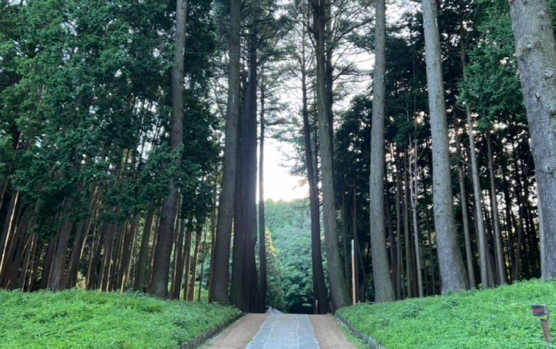 양산 법기수원지