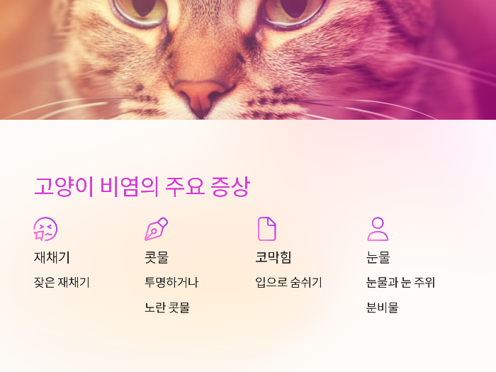 고양이 비염의 주요 증상