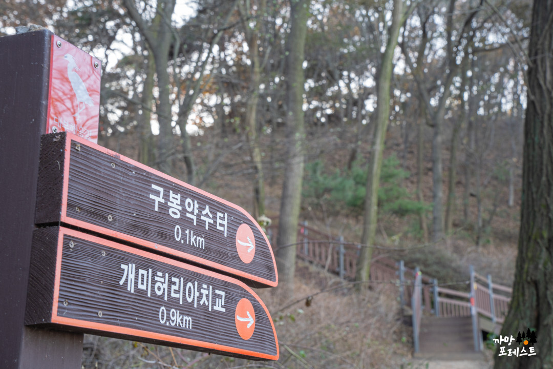 안산 구봉도 대부해솔길