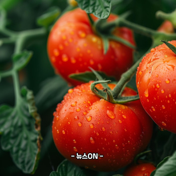 칼륨이 많은 과일과 채소