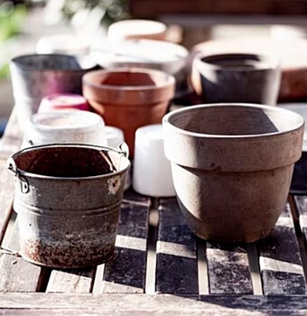 빈-화분-여러개