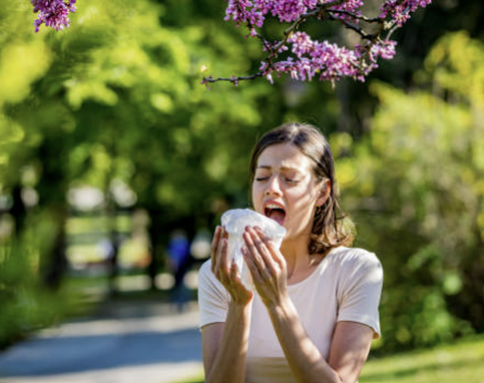 알레르기 비염 원인, 증상, 좋은 음식 소개