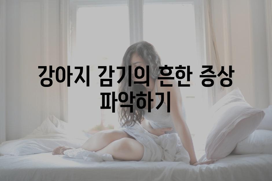 강아지 감기의 흔한 증상 파악하기