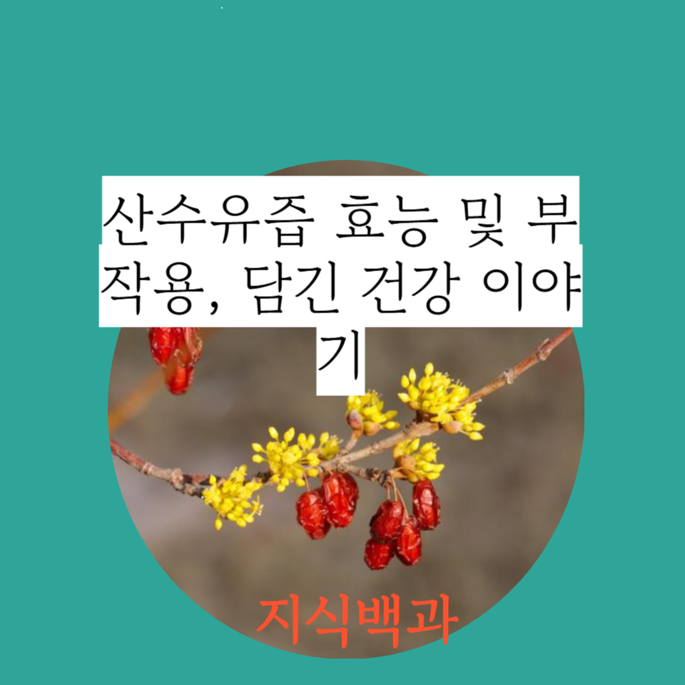 산수유즙 효능 및 부작용, 담긴 건강 이야기