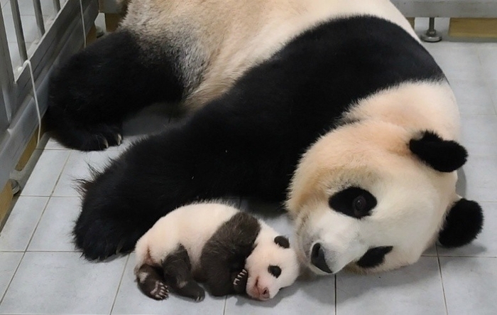 에버랜드 할인카드 종류 신청