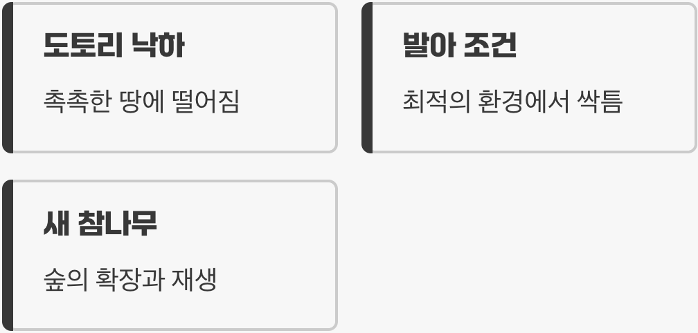 의도치 않은 숲의 정원사