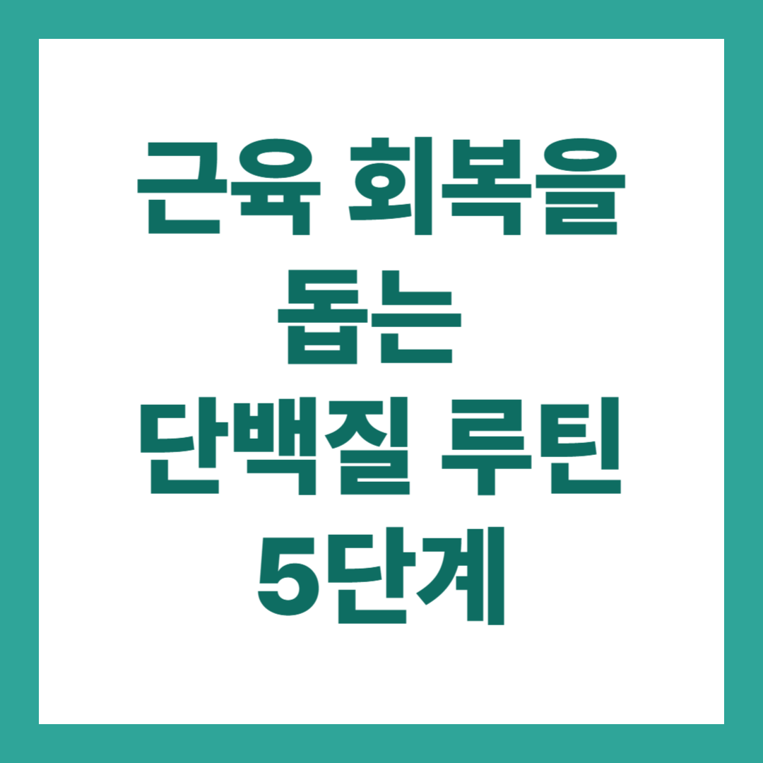 근육 회복을 돕는 단백질 섭취법 5가지 – 운동 후 필수 루틴