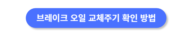 버튼