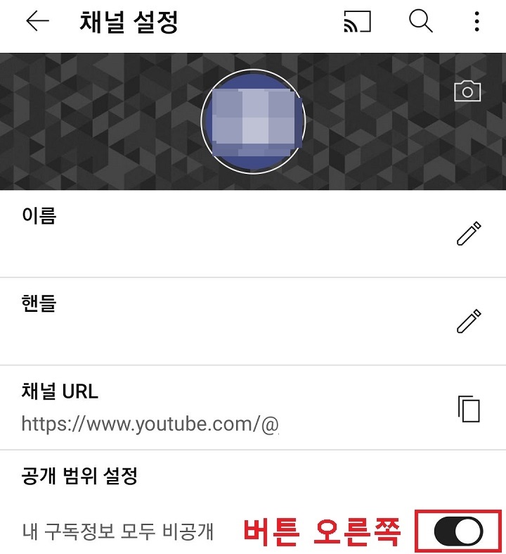 내 구독 정보 모두 비공개 버튼 보임