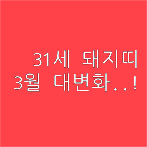 서른한 살 돼지띠 2026년 3월 변..