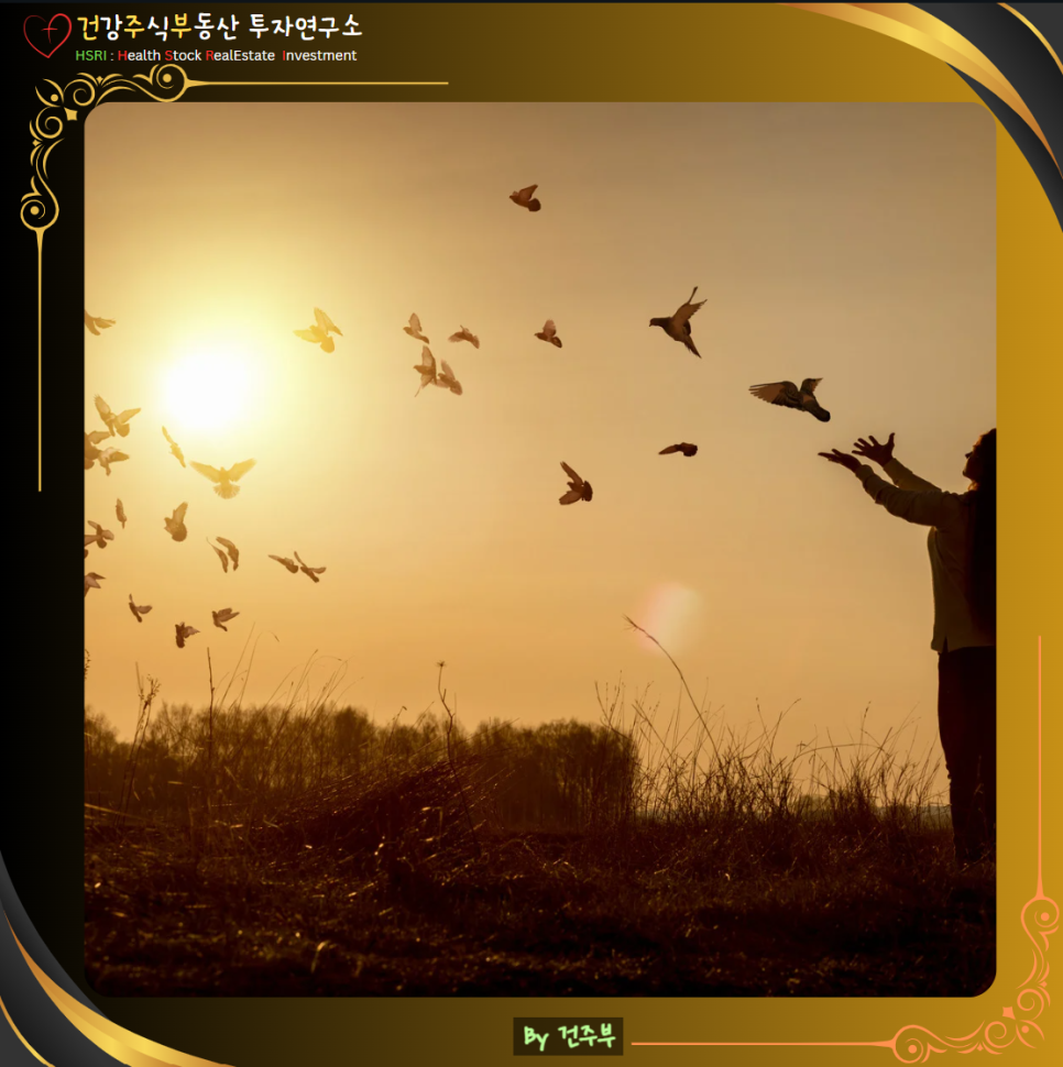 히브리서 11장 묵상 : 믿음은 바라는 것의 실체 보지 못하는 것들의 증거

(글 그림 : 건주부, 그림 출처 : Canva)