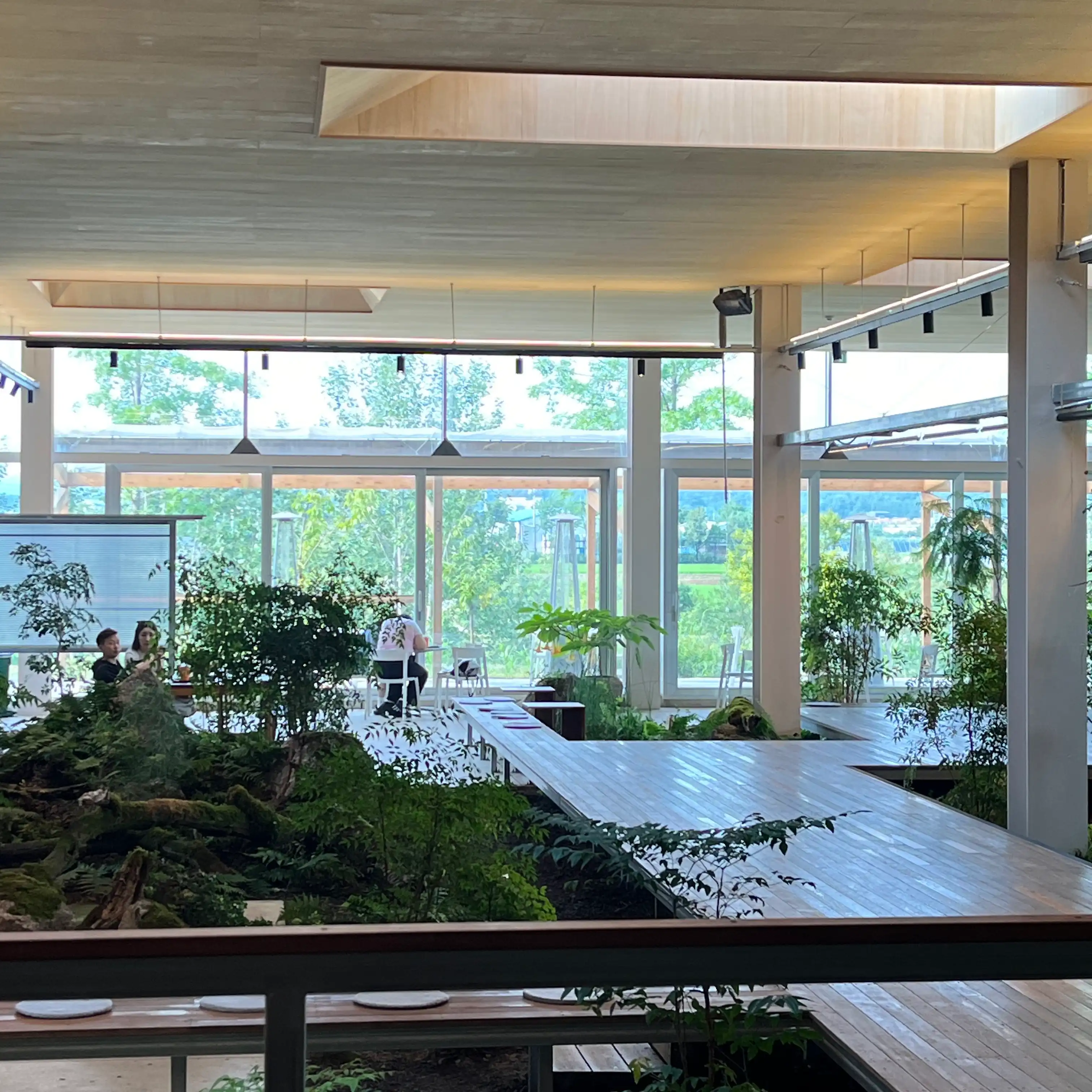 나무데크와 조경이 이루어진 카페