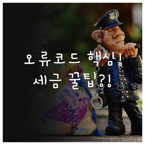 종합소득세 신고 마감 전 주요 오류코..