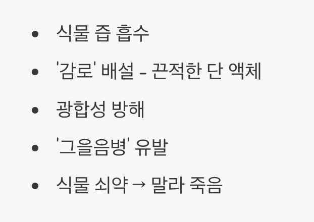 2. 한 마리가 아닌 ‘군단’입니다