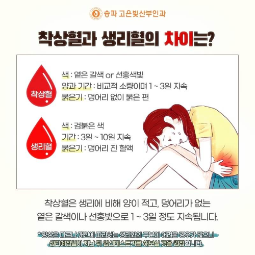 착상과-생리의-차이