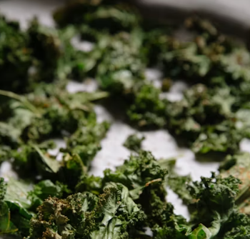 치커리 효능 부작용 뿌리 가루 고르는법 칼로리