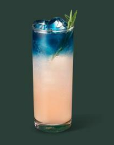 스타벅스 메뉴와 가격